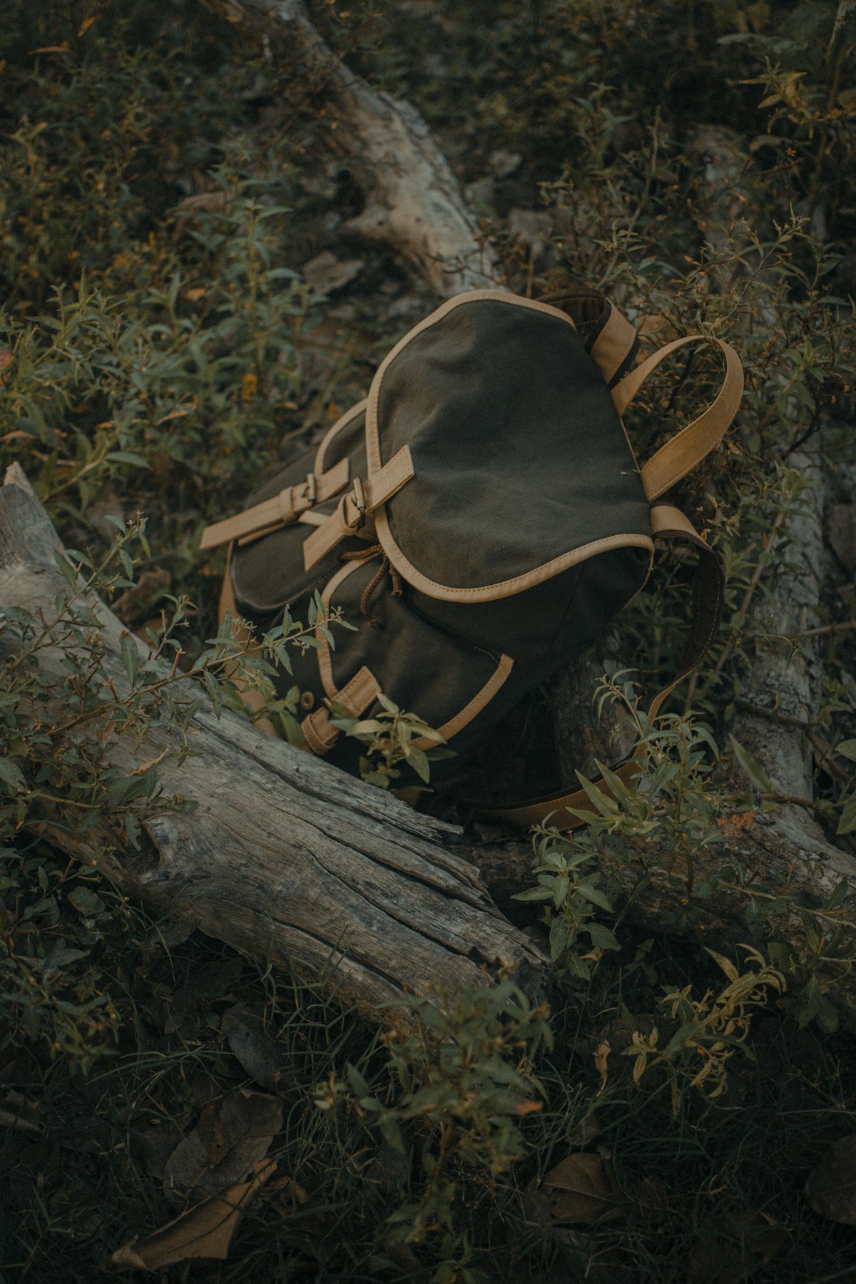 Denali 26L Waxed Canvas Rucksack